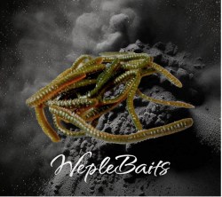 weple oliva